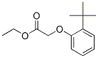 93893-53-9,ethyl [2-(1,1-dimethylethyl)phenoxy]acetate