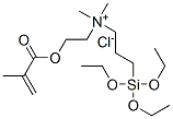 94134-22-2,dimethyl[2-[(2-methyl-1-oxoallyl)oxy]ethyl][3-(triethoxysilyl)propyl]ammonium chloride