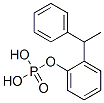 94200-31-4,2-(1-phenylethyl)phenyl dihydrogen phosphate