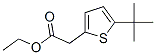 943756-20-5,ETHYL 2-(5-TERT-BUTYLTHIOPHEN-2-YL)ACETATE