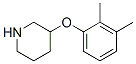 946681-02-3,3-(2,3-DIMETHYLPHENOXY)PIPERIDINE