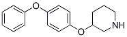 946681-18-1,3-(4-PHENOXYPHENOXY)PIPERIDINE