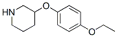 946714-47-2,3-(4-ETHOXYPHENOXY)PIPERIDINE