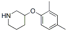 946759-09-7,3-(2,4-DIMETHYLPHENOXY)PIPERIDINE