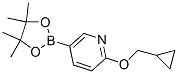 947191-69-7,2-(CYCLOPROPYLMETHOXY)-5-(4,4,5,5-TETRAMETHYL-1,3,2-DIOXABOROLAN-2-YL)PYRIDINE