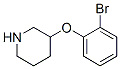 954223-02-0,3-(2-Bromo-phenoxy)-piperidine