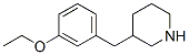 955287-94-2,3-(3-ETHOXY-BENZYL)-PIPERIDINE