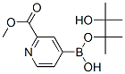 957062-72-5,2-(Methoxycarbonyl)-4-pyridineboronic acid, pinacol ester