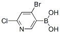 957062-85-0,5-borono-4-bromo-2-chloropyridine