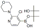 957198-28-6,3-CHLORO-2-(4-MORPHOLINO)PYRIDINE-4-BORONIC ACID PINACOL ESTER