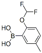 958451-75-7,2-difluoromethoxy-5-methyl-benzeneboronic acid