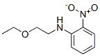 95893-88-2,(2-ETHOXY-ETHYL)-(2-NITRO-PHENYL)-AMINE