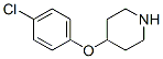 97839-99-1,4-(4-CHLORO-PHENOXY)-PIPERIDINE
