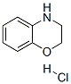 98491-38-4,3,4-DIHYDRO-2H-BENZO[1,4]OXAZINE HYDROCHLORIDE