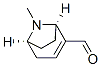 99213-86-2,8-Azabicyclo[3.2.1]oct-2-ene-2-carboxaldehyde, 8-methyl-, (1R,5S)- (9CI)