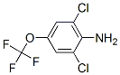 99479-66-0,2,6-DICHLORO-4-(TRIFLUOROMETHOXY)ANILINE