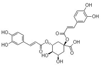 1,5-Dicaffeoylquinic acid