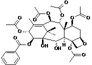 14beta-Benzoyloxy-2-deacetylbaccatin VI