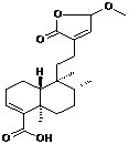 15,16-Dihydro-15-methoxy-16-oxohardwickiic acid