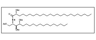 2-(2