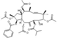 2,5,9,14-Tetraacetoxy-3-benzoyloxy-8,15-dihydroxy-7-isobutyroyloxyjatropha-6(17),11E-diene 