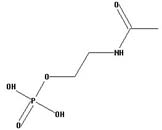 2-Acetamidoethyl phosphate