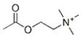 (2-Acetoxyethyl)trimethylammonium