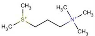 3-(Dimethylsulfonio)-N,N,N-trimethylpropanaminium(2+)