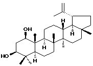3-Epiglochidiol