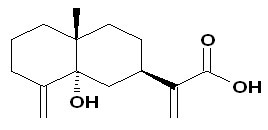 5alpha-Hydroxycostic acid