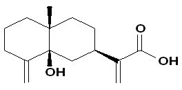 5beta-Hydroxycostic acid