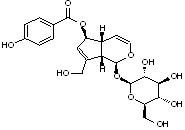 6-O-p-Hydroxybenzoylaucubin