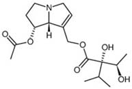 7-Acetylintermedine