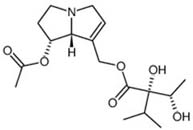 7-Acetyllycopsamine