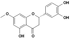 7-O-Methyleriodictyol