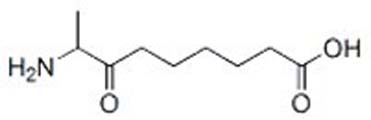 8-Amino-7-oxononanoic acid
