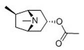 8-Methyl-8-azabicyclo[3.2.1]octane-3,6-diol, 9CI; (3RS,6RS)-form, 3-O-Ac