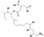 AAL Toxin TA1