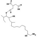 AAL Toxin TC2
