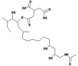 AAL Toxin TD1