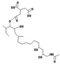 AAL Toxin TD2
