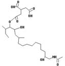 AAL Toxin TE2