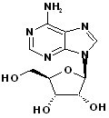 Adenosine