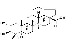 Alphitolic acid