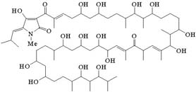 Amycomycin