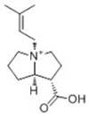 Anodendrine