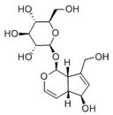 Aucubin