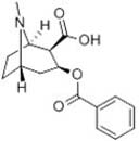Benzoylecgonine