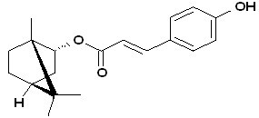 Biondinin C