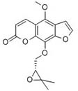 Byakangelicol